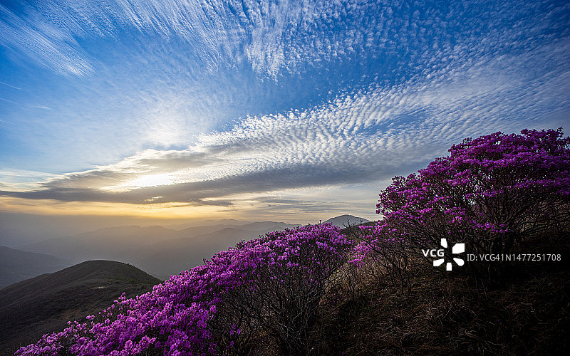 全罗南道智异山图片素材