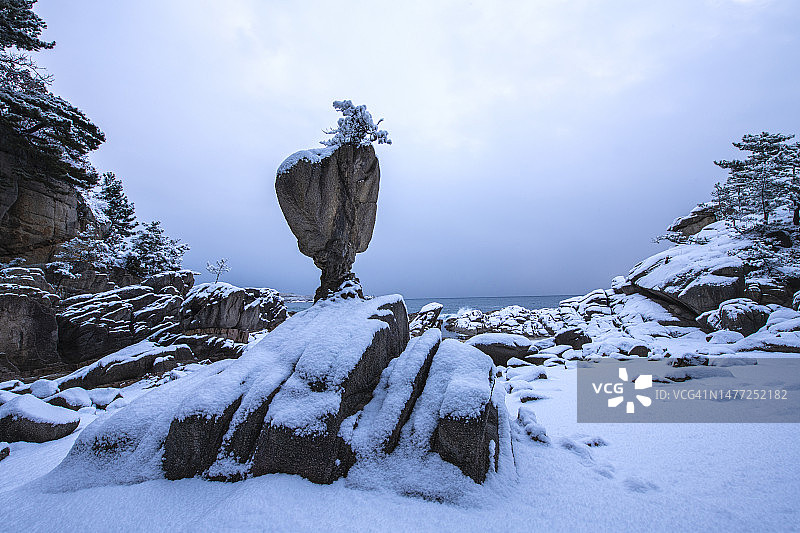 江原道高城郡雪中岩石图片素材