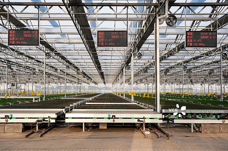 智能温室蔬菜自动育苗基地图片素材
