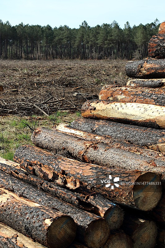 法国朗德地区的森林火灾图片素材