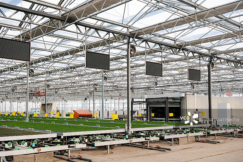 智能温室蔬菜自动育苗基地图片素材