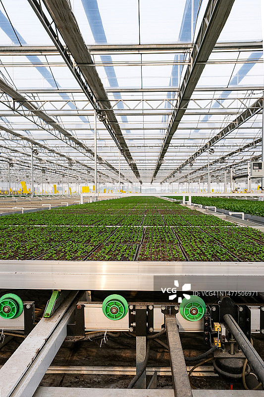 智能温室蔬菜自动育苗基地图片素材