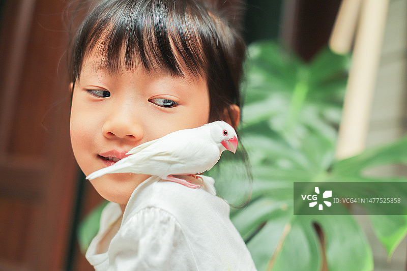 宠物爱图片素材