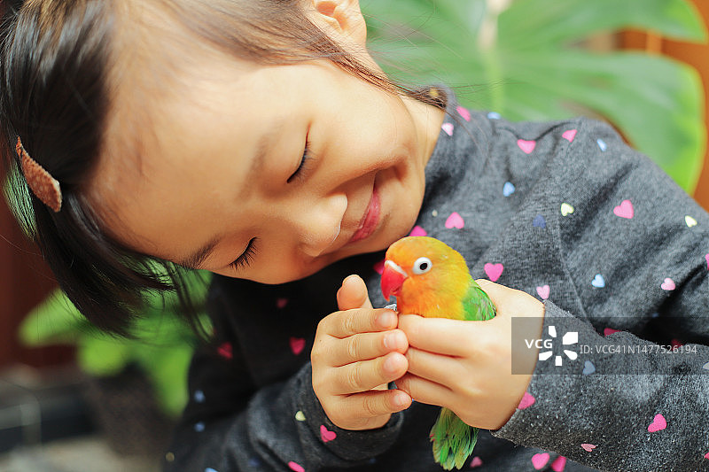 宠物爱图片素材