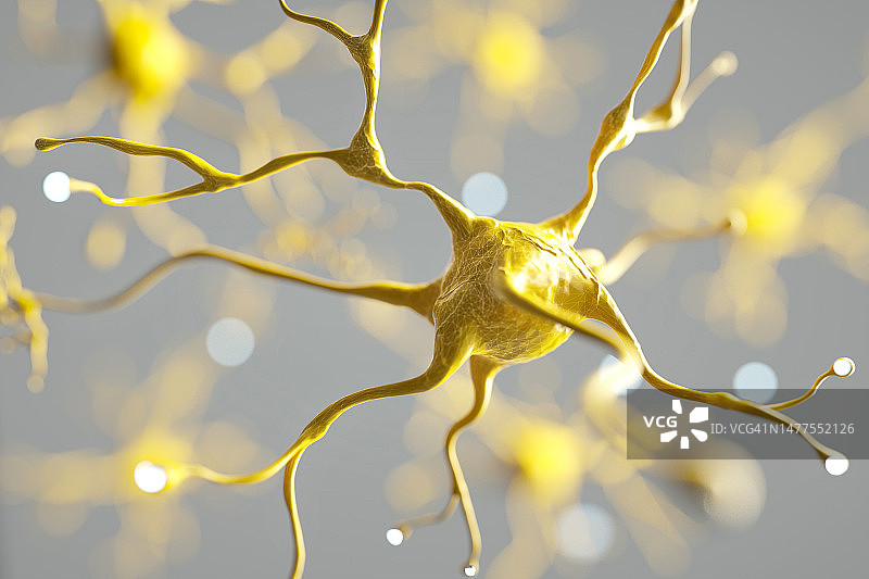 神经元系统图片素材