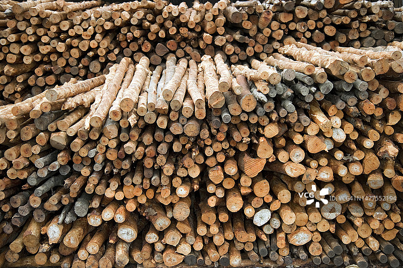 堆叠的木材切割背景图片素材