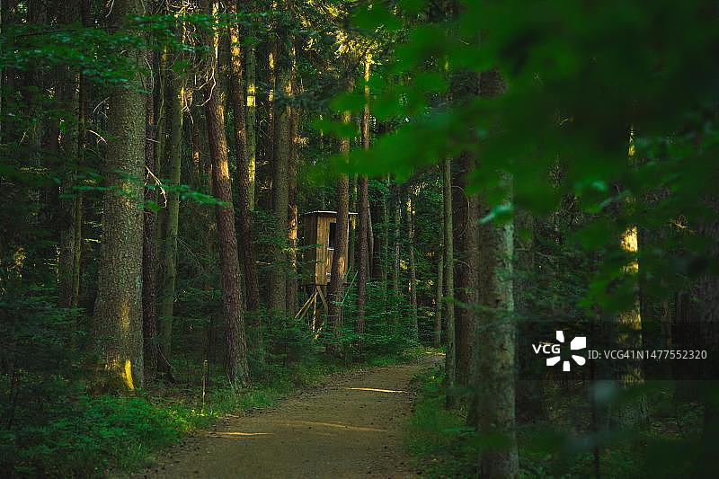 德国黑森林的猎人座位图片素材