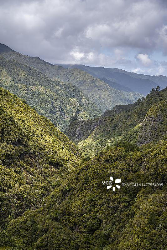 葡萄牙马德拉岛拉巴萨尔的绿色森林和山丘图片素材