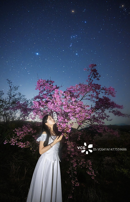 星空下的女孩与樱花图片素材