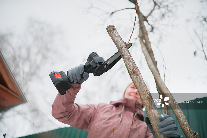 园艺师冬季修剪灌木图片素材