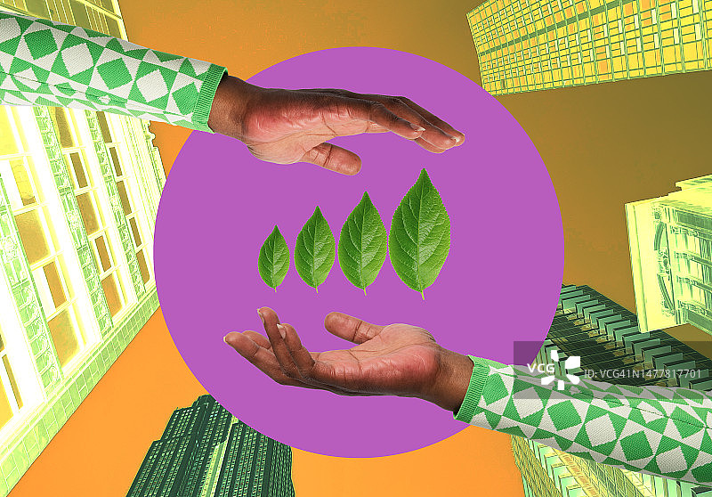 可持续增长图片素材