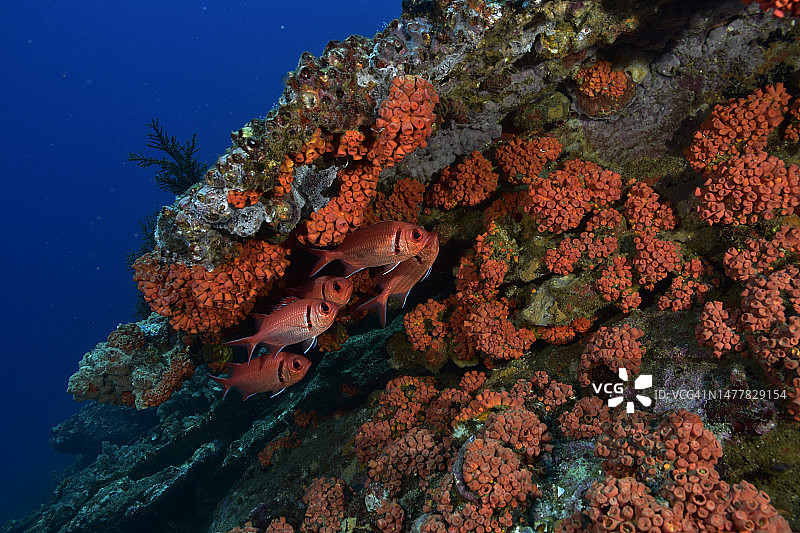 岩石礁图片素材