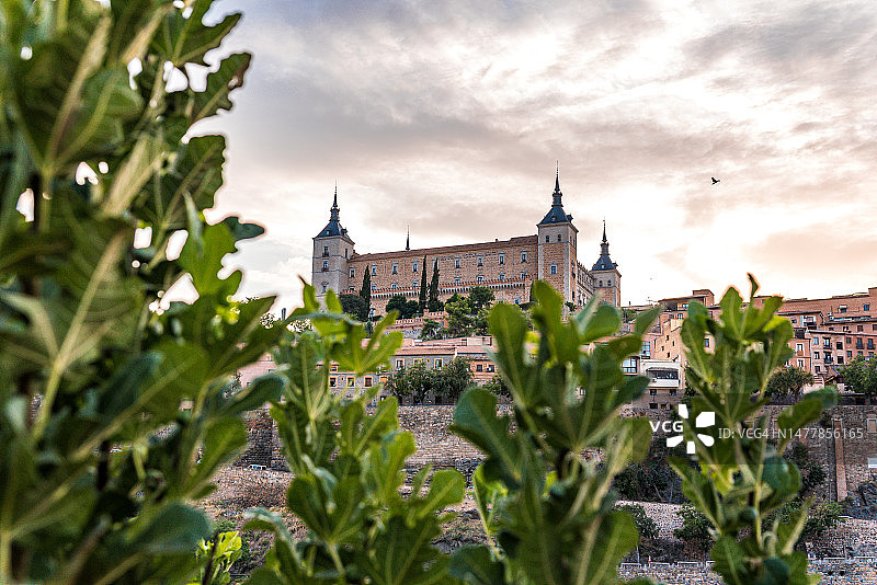 透过树枝看托莱多城堡图片素材