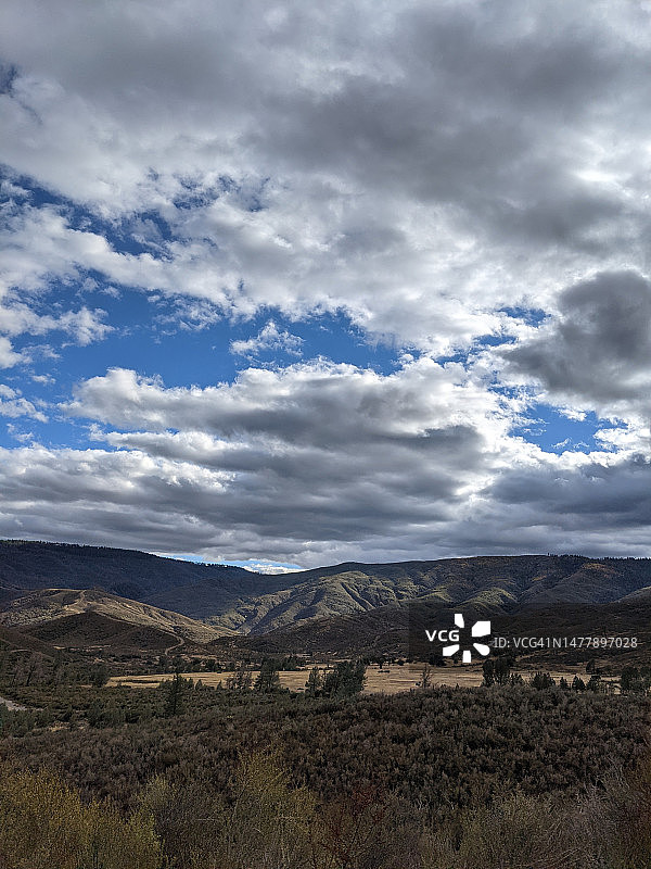 门多西诺国家森林图片素材
