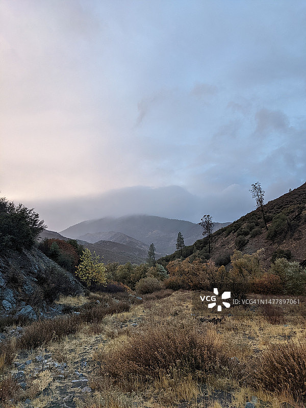 门多西诺国家森林图片素材