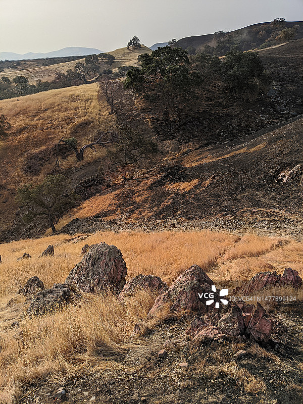 拉古纳山区游乐区的步道图片素材