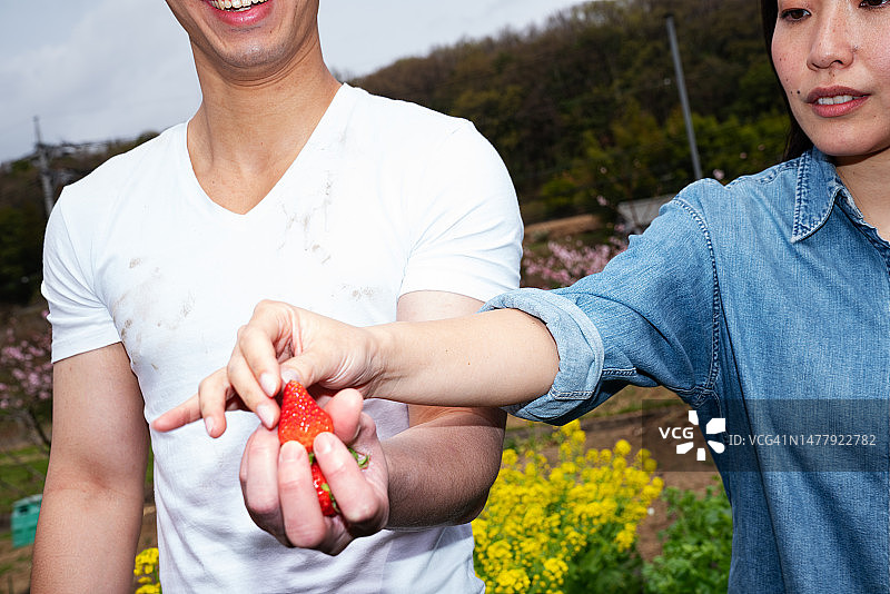 朋友们在社区花园里享用草莓图片素材