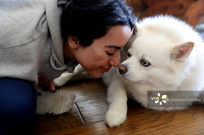 爱我的宠物图片素材