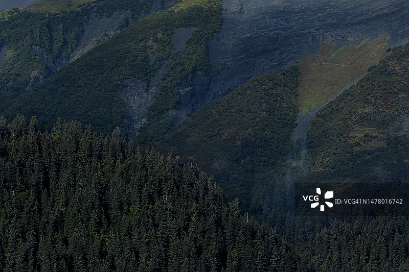 克奈峡湾国家公园的苔原景观图片素材