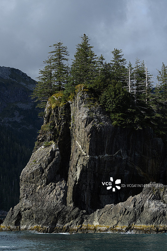 基奈峡湾国家公园的海景图片素材