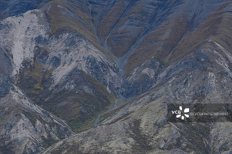 秋色中的苔原栖息地图片素材