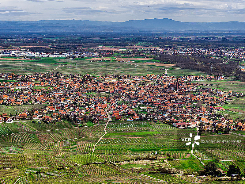 阿尔萨斯葡萄园在春天复苏和发芽的航拍景观图片素材