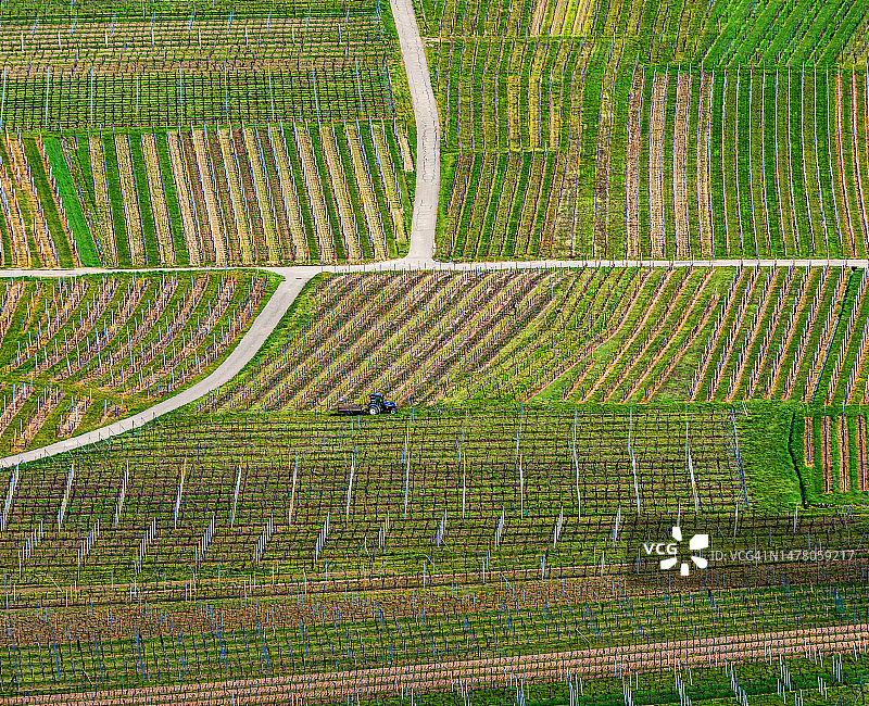 阿尔萨斯葡萄园在春天复苏和发芽的航拍景观图片素材