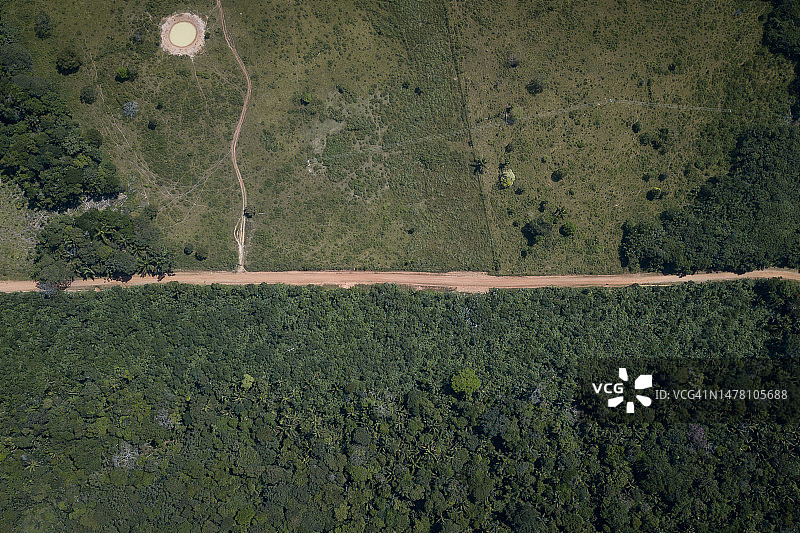 森林砍伐地中间的道路图片素材