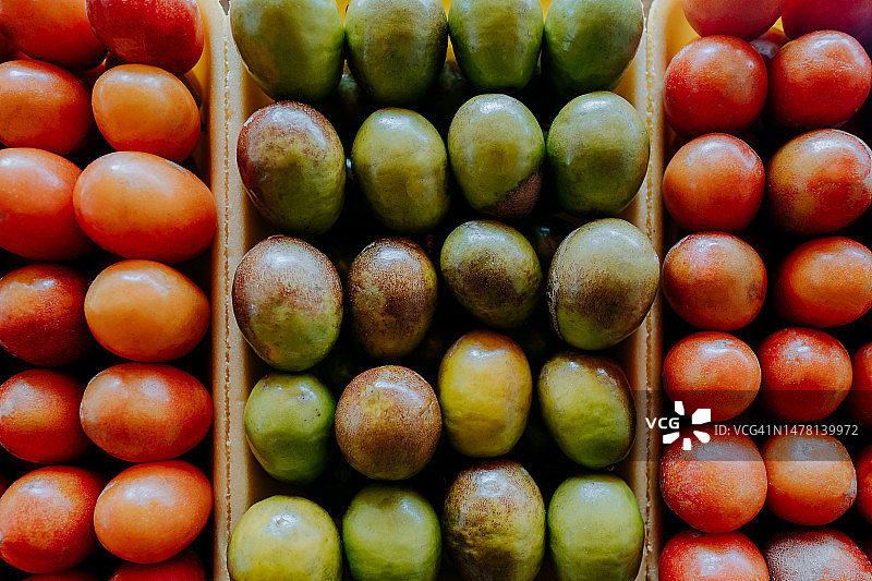 巴西黄酸枣图片素材