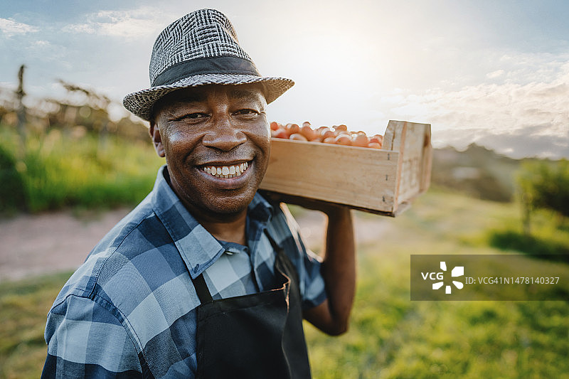 在乡下采摘水果的男人肖像图片素材