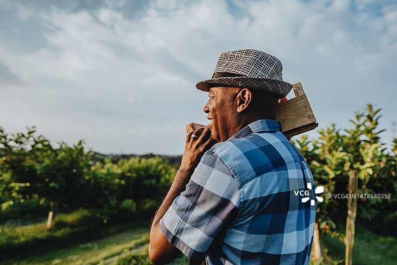 在乡下采摘水果的男子肖像图片素材