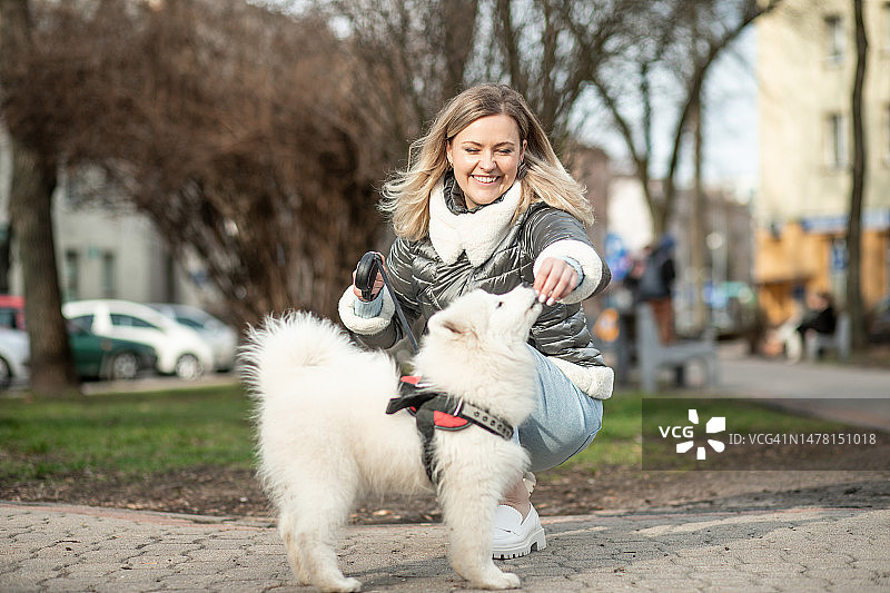 中年妇女在城市公园里遛萨摩耶幼犬图片素材