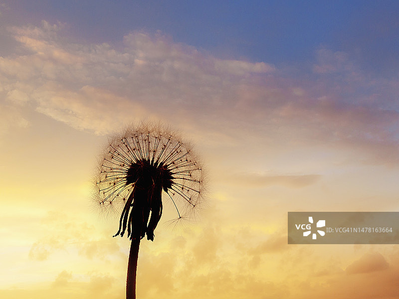 新的开始图片素材