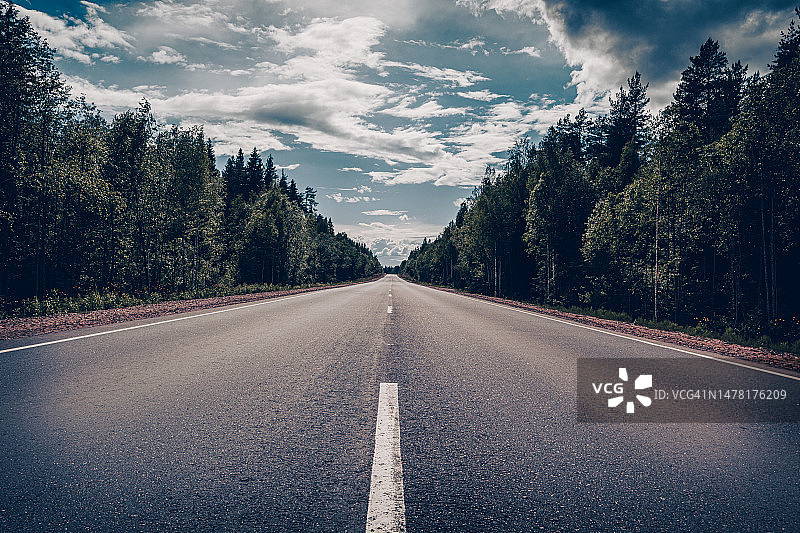 俄罗斯沃洛格达州树林中的空旷道路图片素材