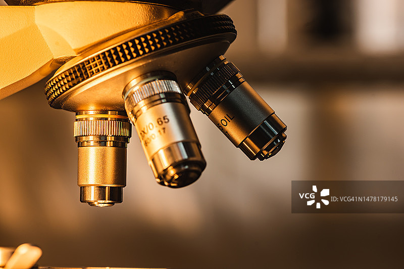 实验室中的专业显微镜，用于观察微观尺度的科学设备和医疗工具图片素材