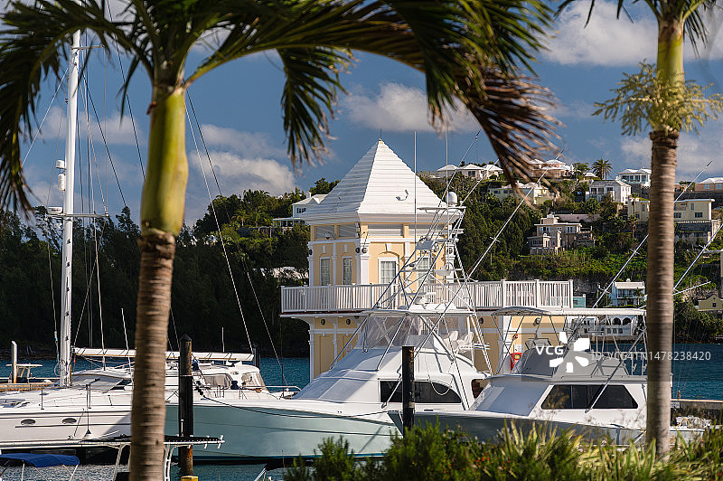 百慕大汉密尔顿棕榈树环绕的码头图片素材