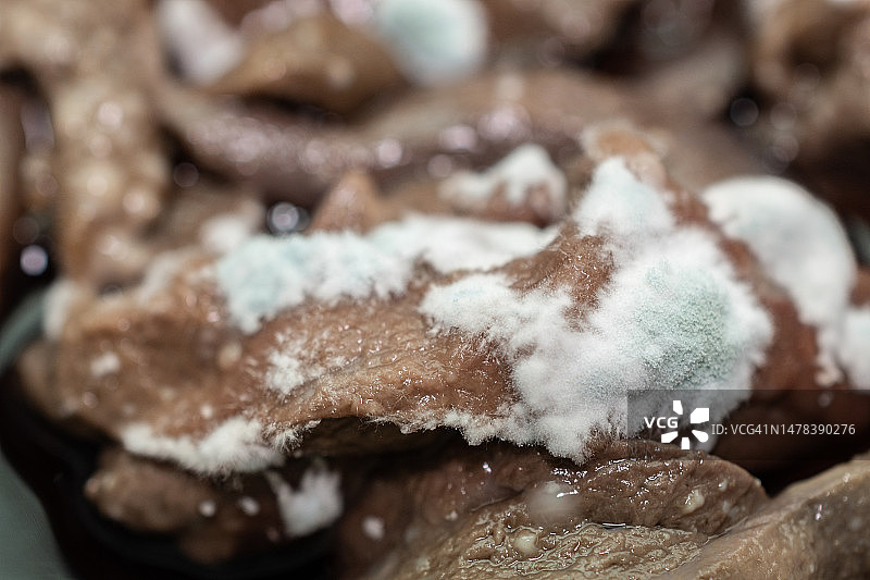 生猪肝上的霉菌特写。发霉的食物具有令人不快的味道和质地，并且可能带有绿色或白色的模糊斑点。图片素材