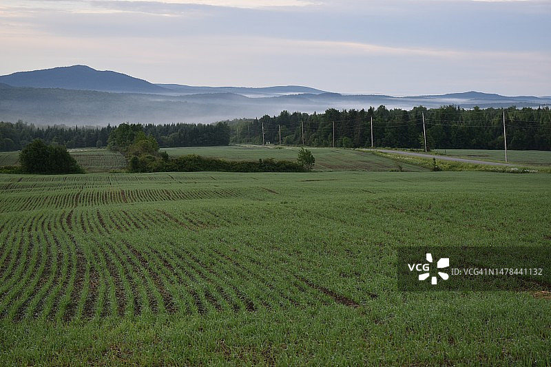塞尔维亚的田园风光图片素材