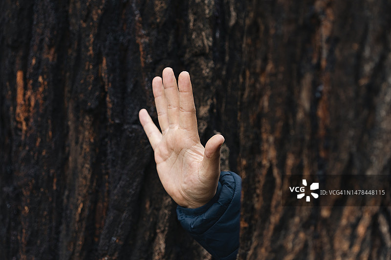 手穿过树干表示停止图片素材