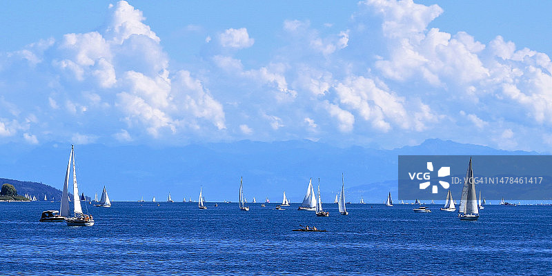 码头里的游艇图片素材