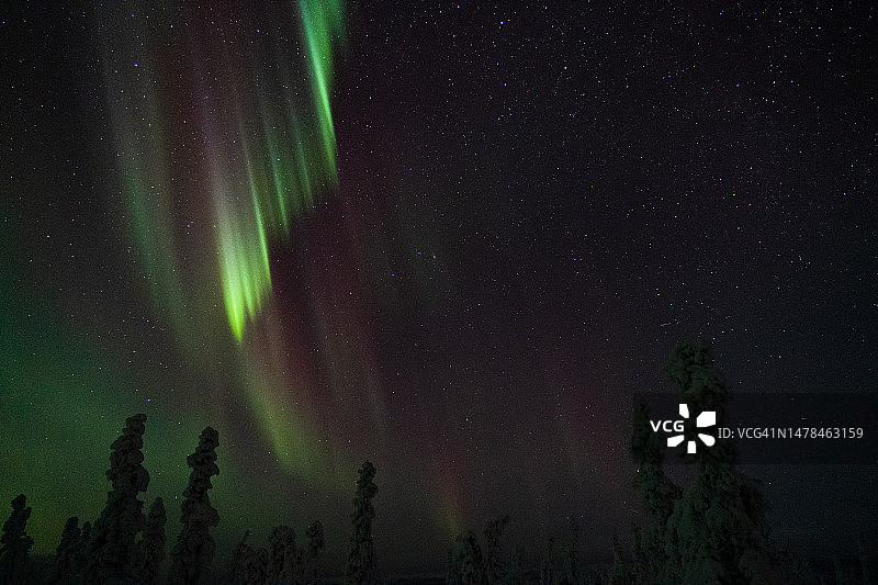 阿拉斯加费尔班克斯夜空中的北极光低角度景观图片素材