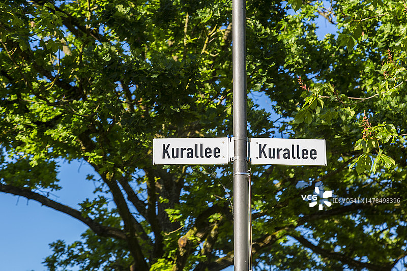 绿叶树下的库拉利街道路牌图片素材