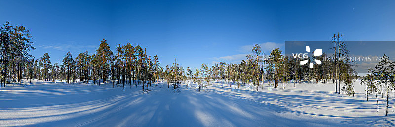 雪地上的树木，芬兰，苏穆斯萨尔米图片素材
