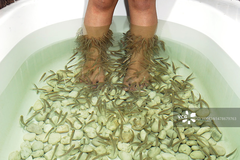 鱼疗足部护理图片素材