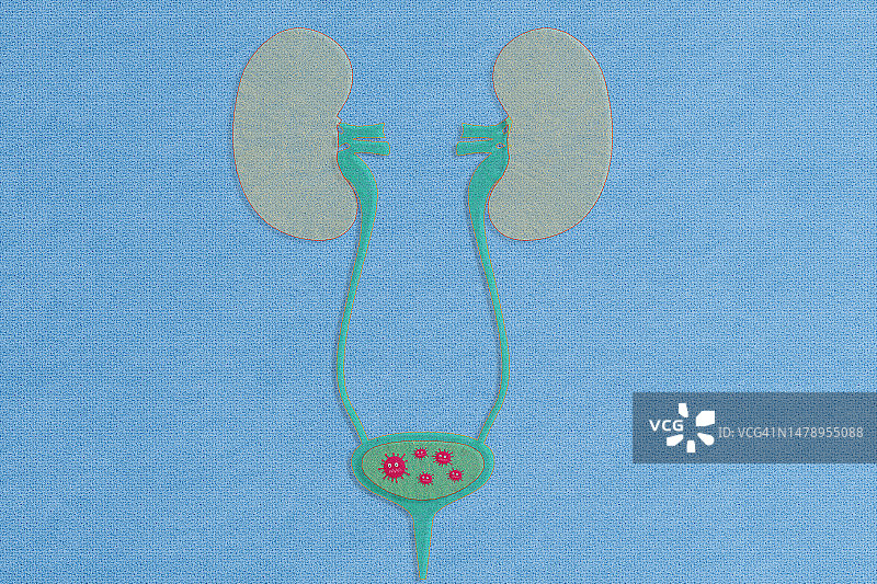 泌尿系统疾病刺绣图案图片素材