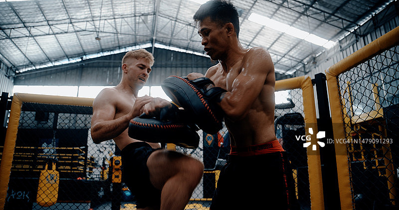 拳击台上练习的两个拳击手图片素材