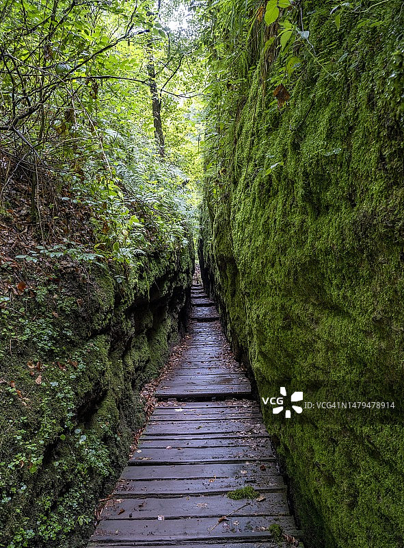 德国图林根森林埃森纳赫附近的龙峡谷自然保护区图片素材