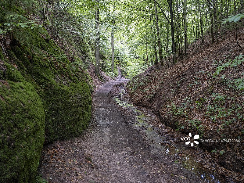 德国图林根森林埃森纳赫附近的龙峡谷自然保护区图片素材