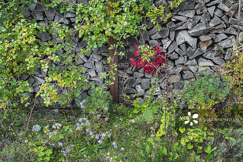 德国巴伐利亚慕尼黑的树叶覆盖的木桩图片素材