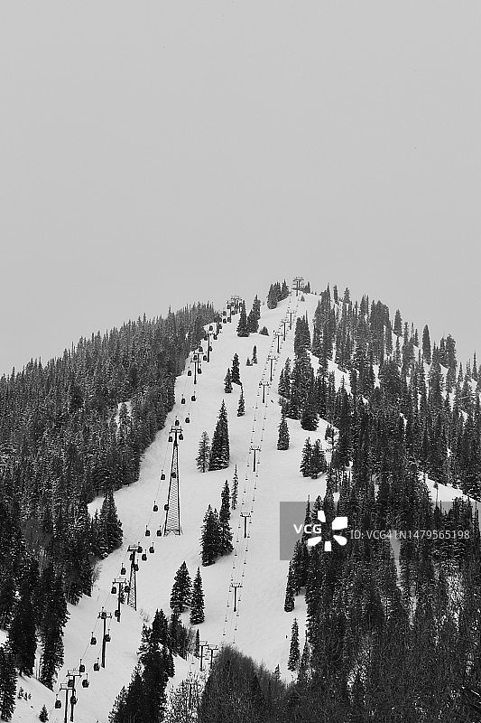 在白雪皑皑的斜坡上速降滑雪图片素材